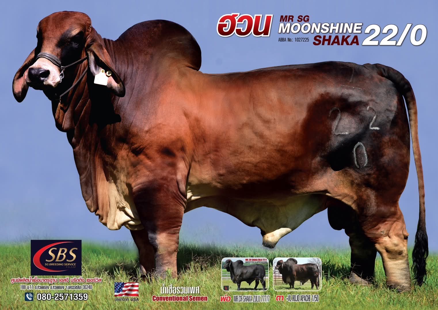 MR.SG MOONSHINE SHAKA 22/0