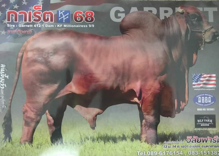 กาเร็ต Garrett KF68