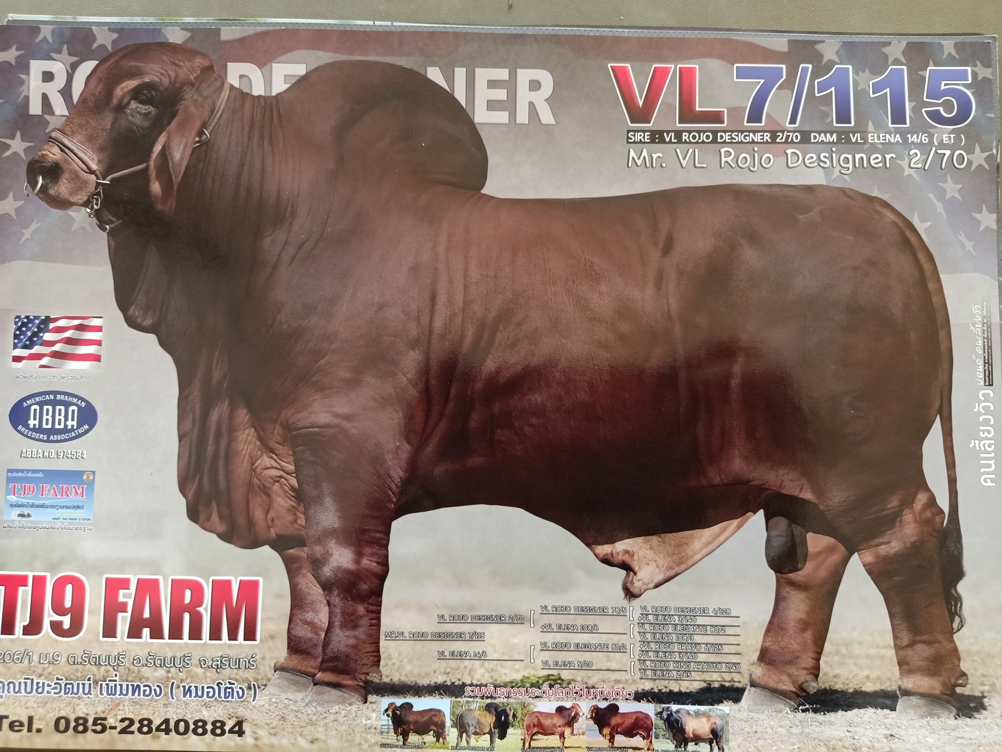 VL ROJO DESIGNER 7/115