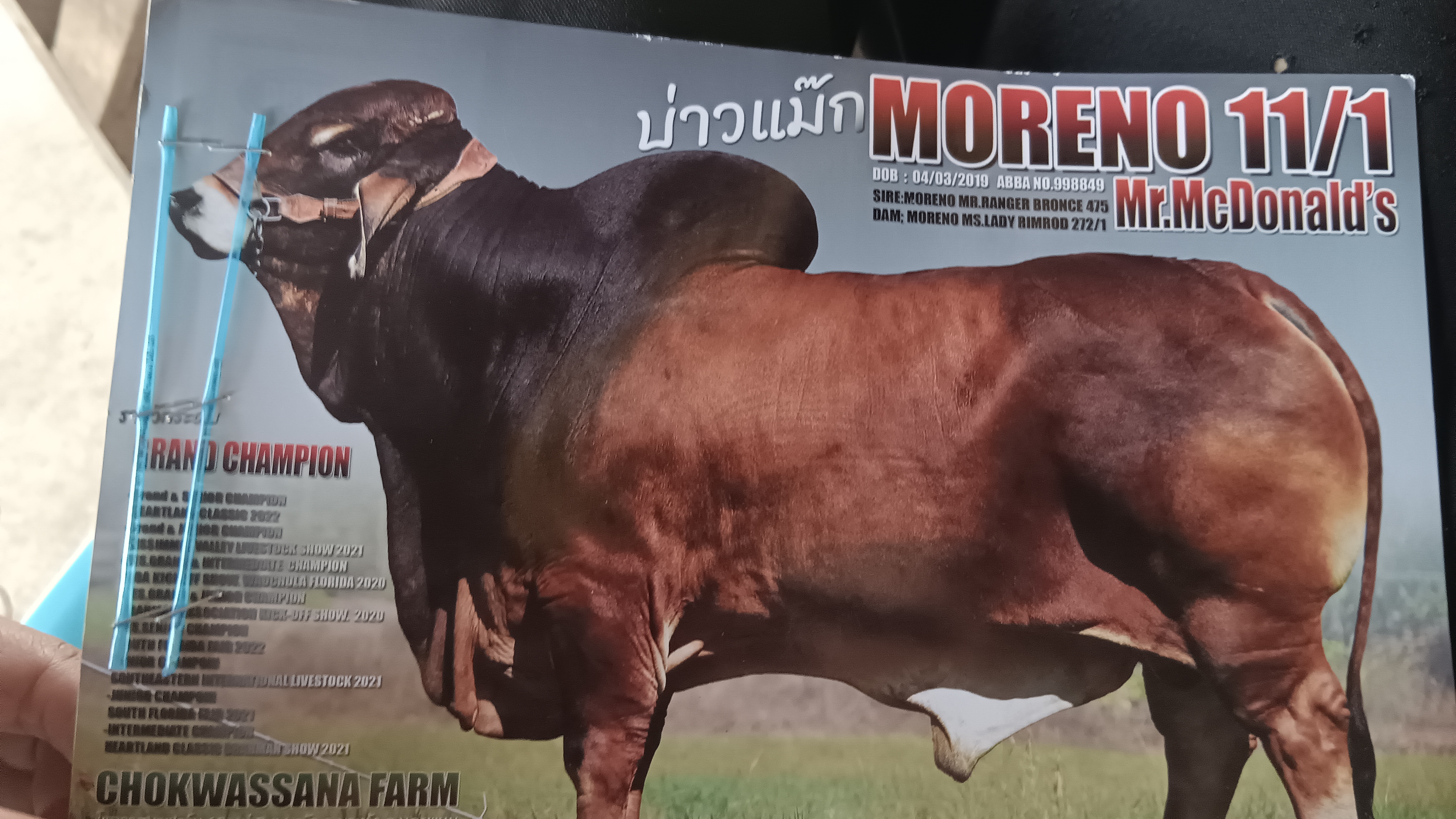 MORENO 11/1 Mr.McDonald's