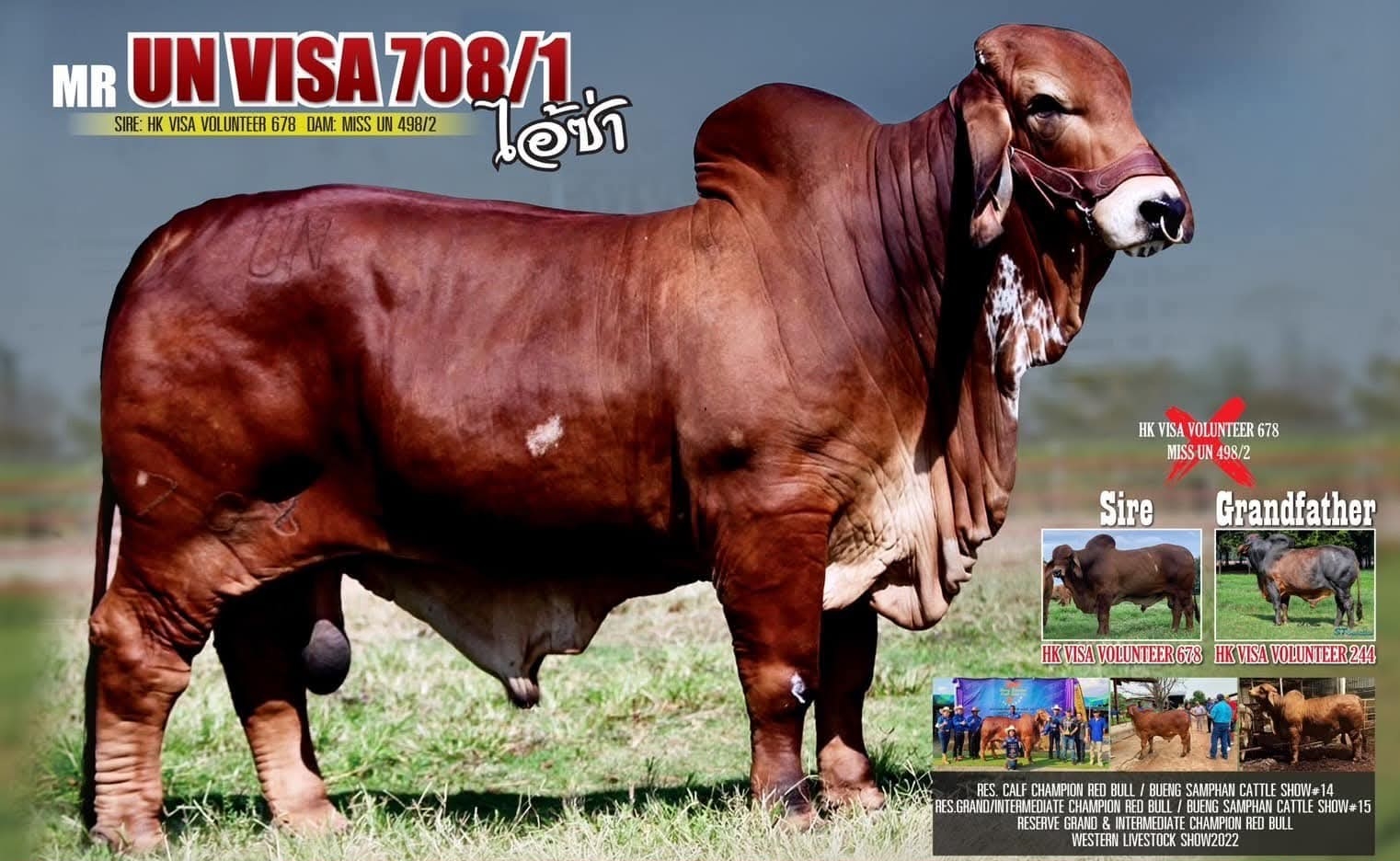 MR. UN VISA 708/1