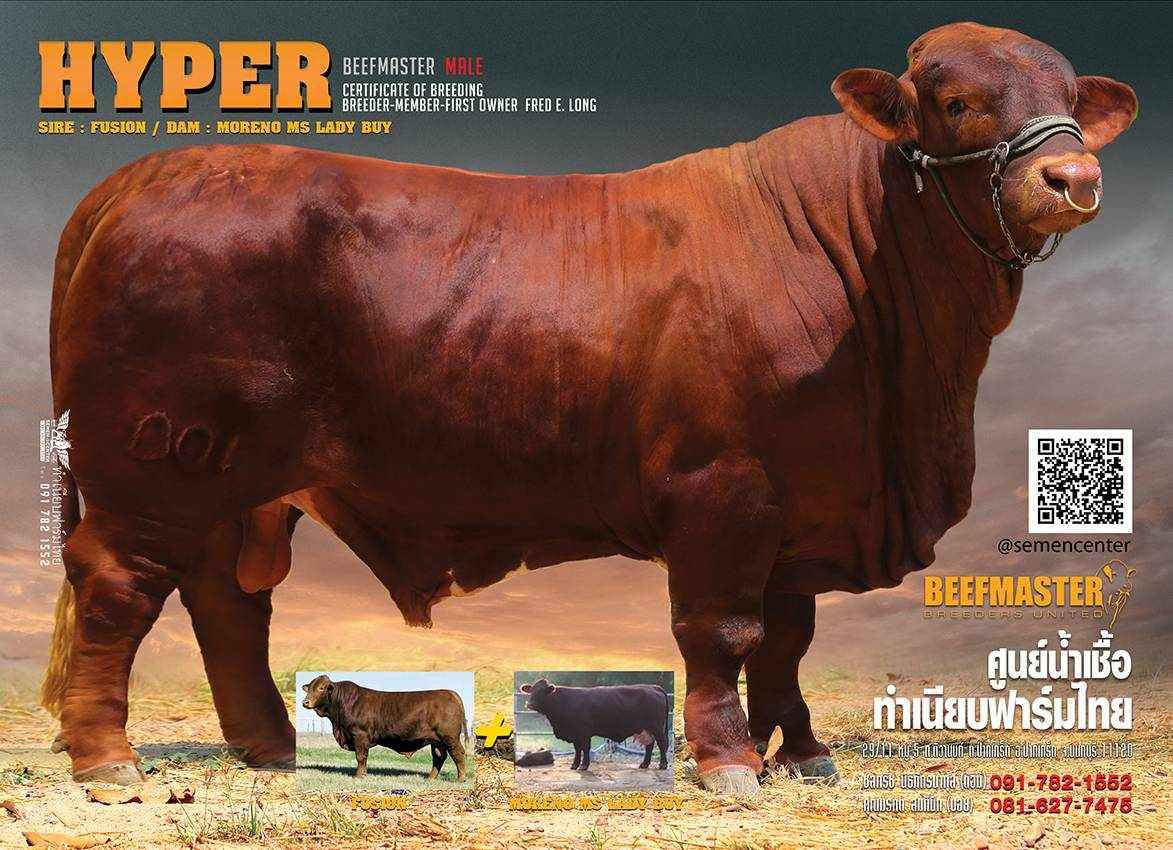 Hyper