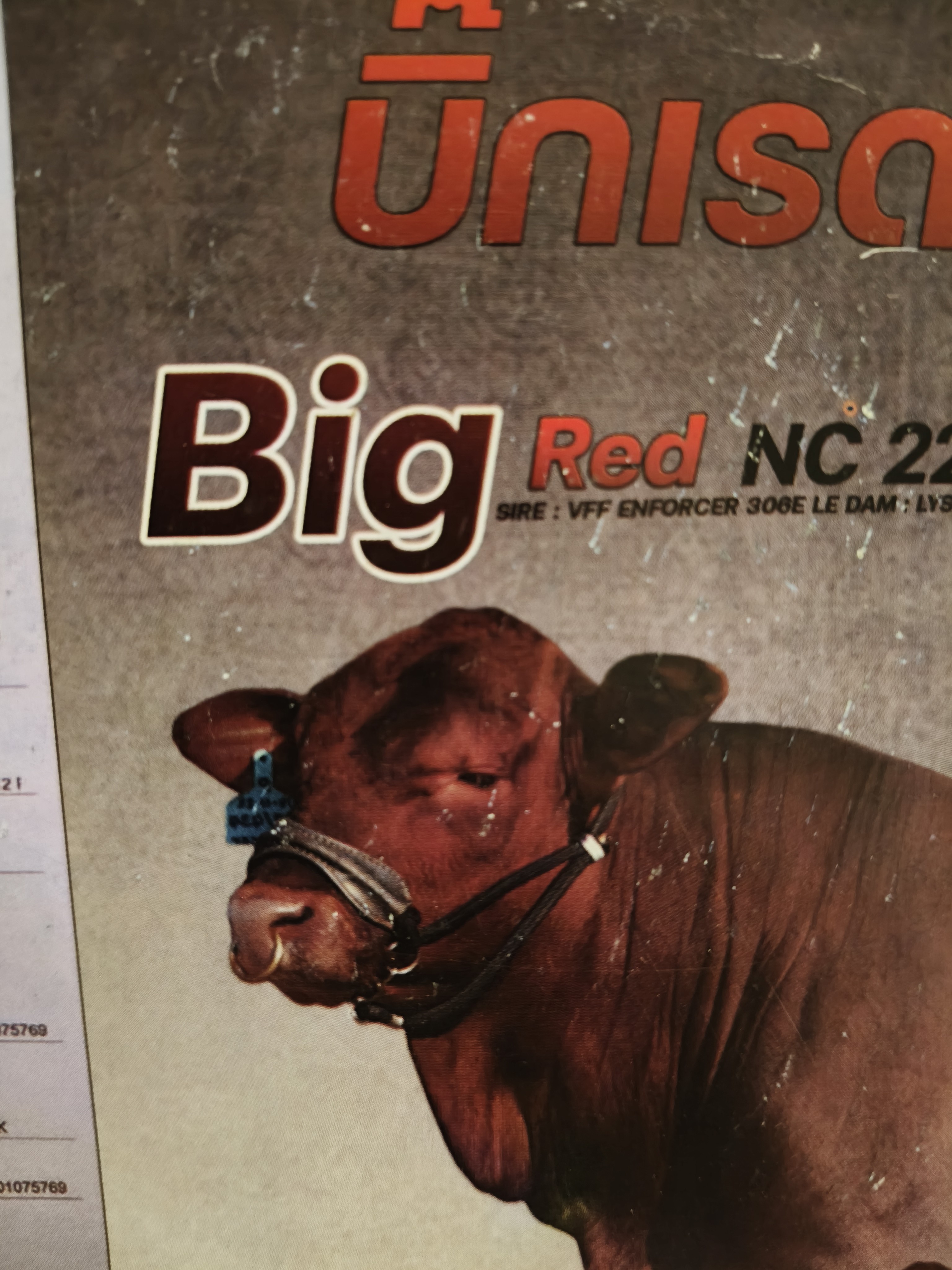 Big Red บิ๊กแรด