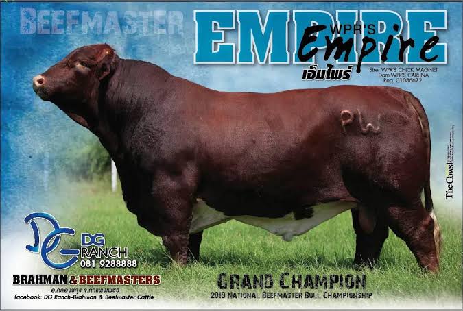 WPR'S EMPIRE