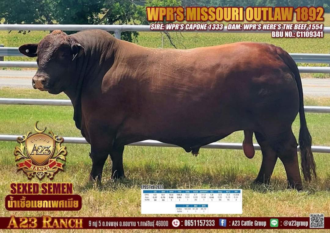 WPR'S MISSOURI OUTLAW 1892