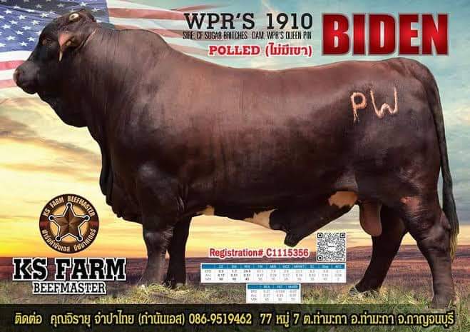 BIDEN WPR'S 1910