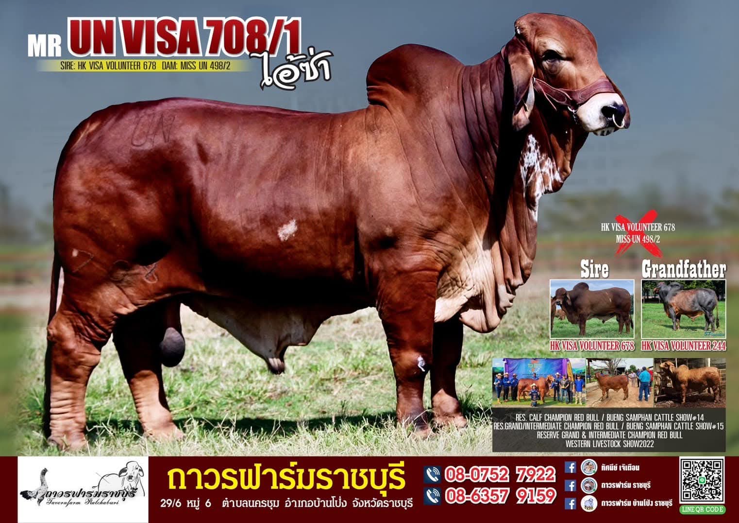 MR. UN VISA 708/1