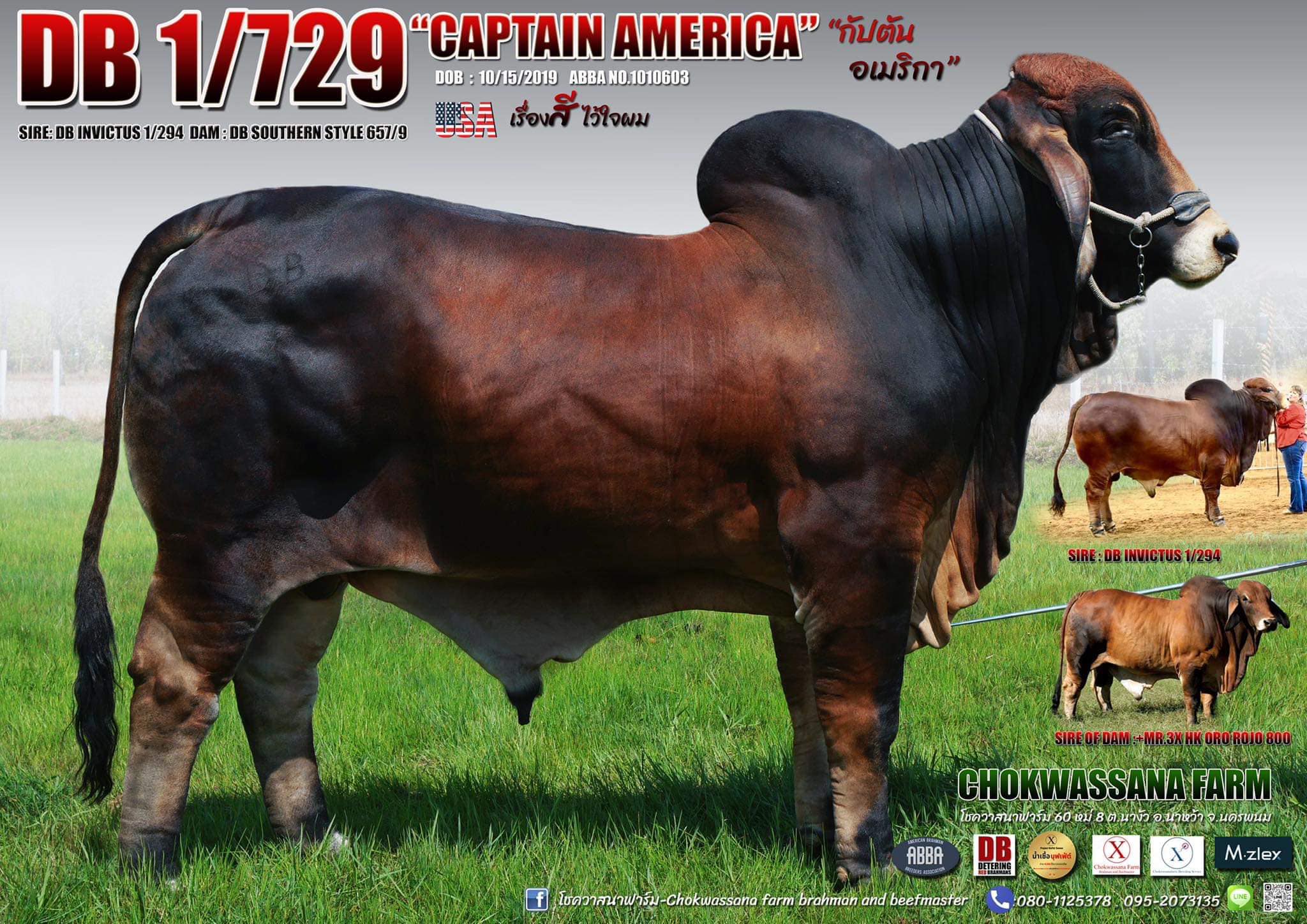 DB 1/729 Captain America - กัปตันอเมริกา